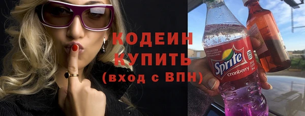 индика Волоколамск