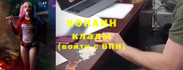 индика Волоколамск