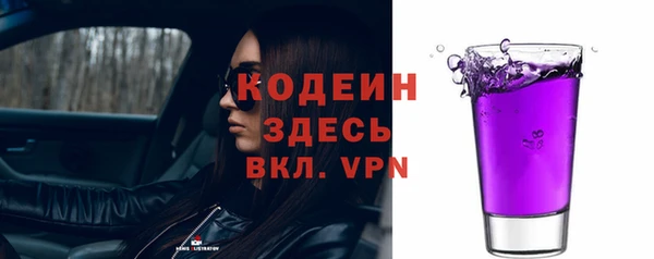 индика Волоколамск