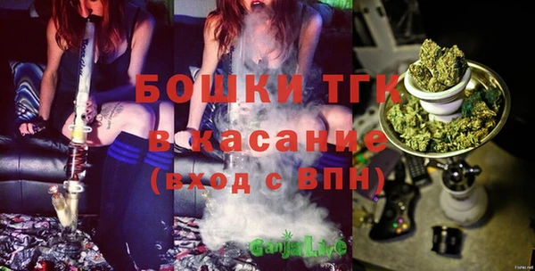 индика Волоколамск