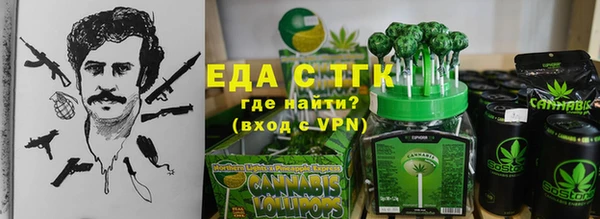 индика Волоколамск